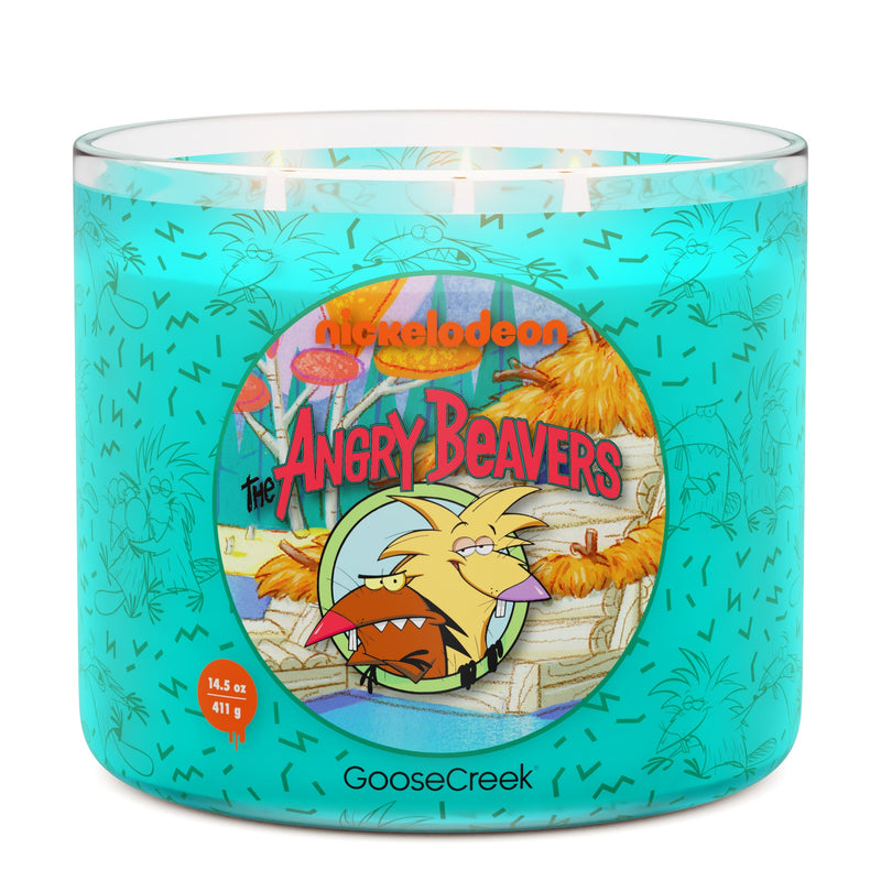 Angry Beavers Nickelodeon 3-Wick Candle F6