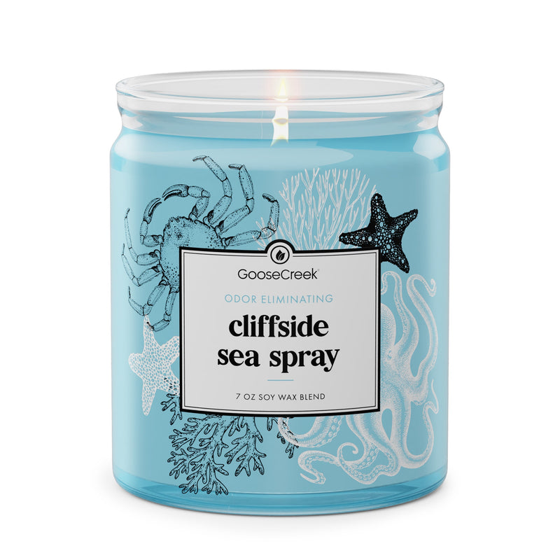 Cliffside Sea Spray Odor Eliminating 7oz Single Wick Candle N3