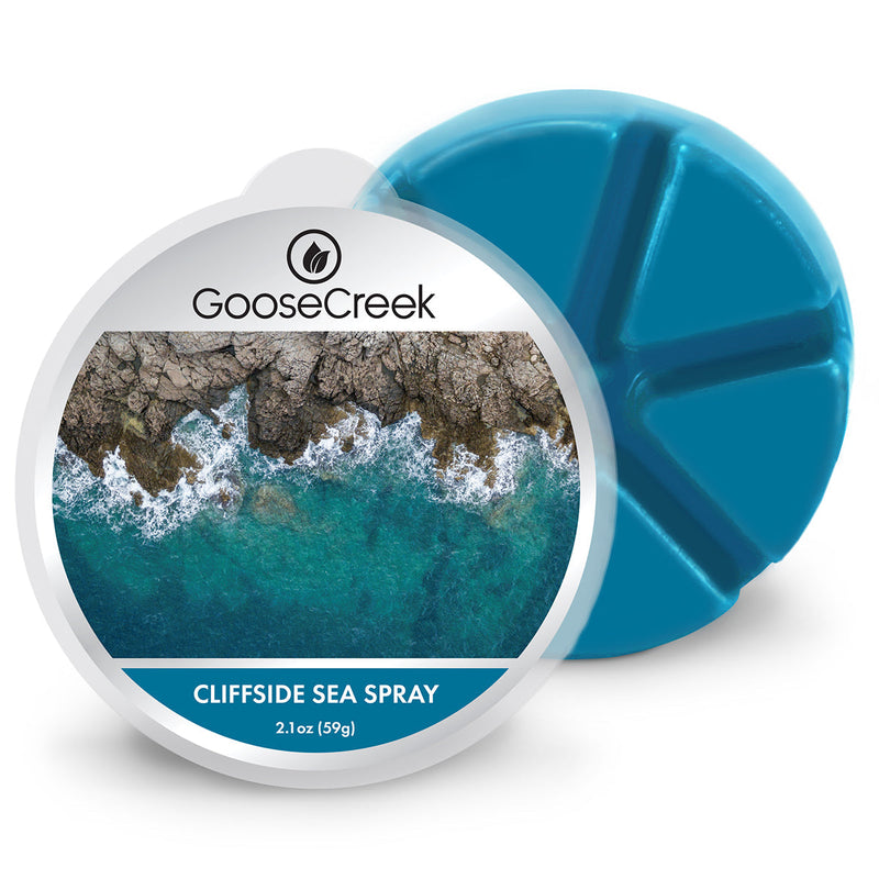 Cliffside Sea Spray Wax Melt L5